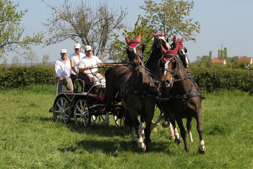 295848_272333842778007_3287522_n